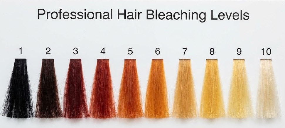 علم دکلره و پایه‌های روشن (Bleaching Science) 